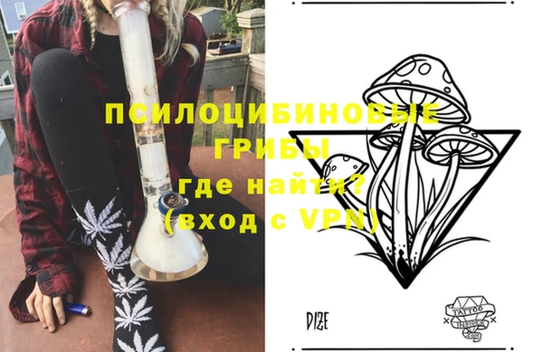 дживик Волосово