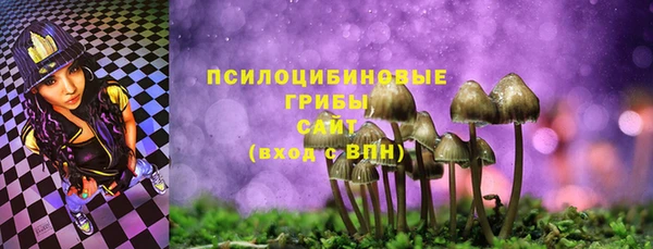 ПСИЛОЦИБИНОВЫЕ ГРИБЫ Абинск