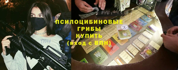 ПСИЛОЦИБИНОВЫЕ ГРИБЫ Абинск
