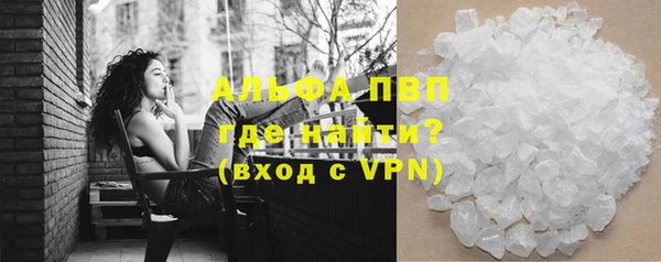 крисы Каменка