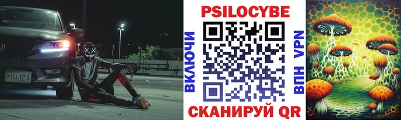 Псилоцибиновые грибы мицелий  как найти закладки  Брюховецкая 
